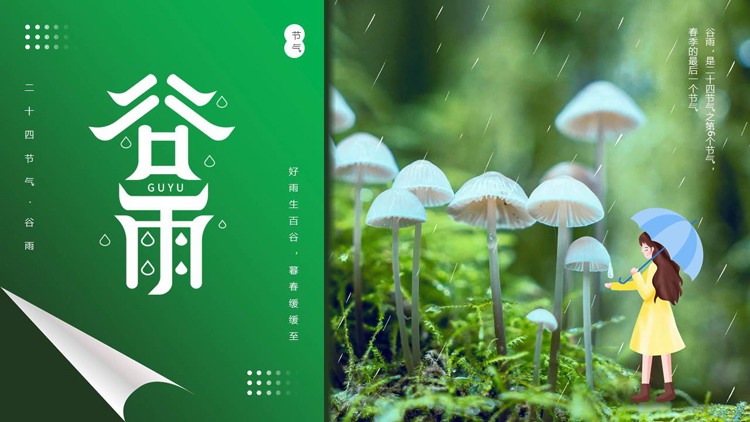 绿色清新蘑菇背景的谷雨节气介绍PPT模板