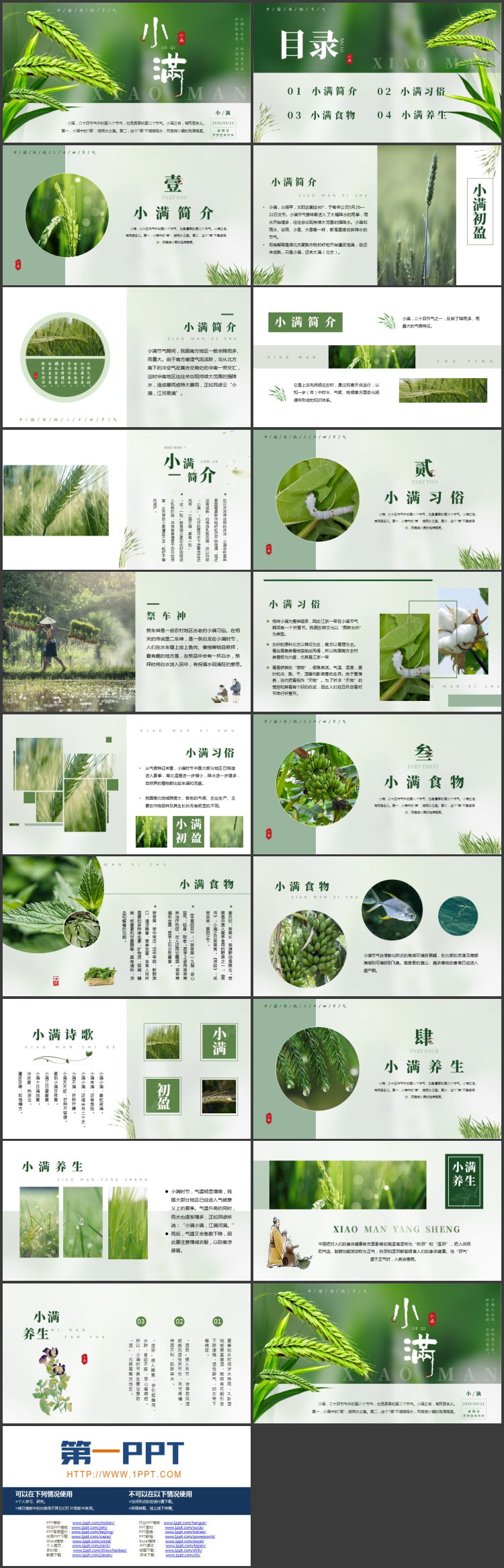 绿色清新麦穗背景的小满传统节气介绍PPT模板