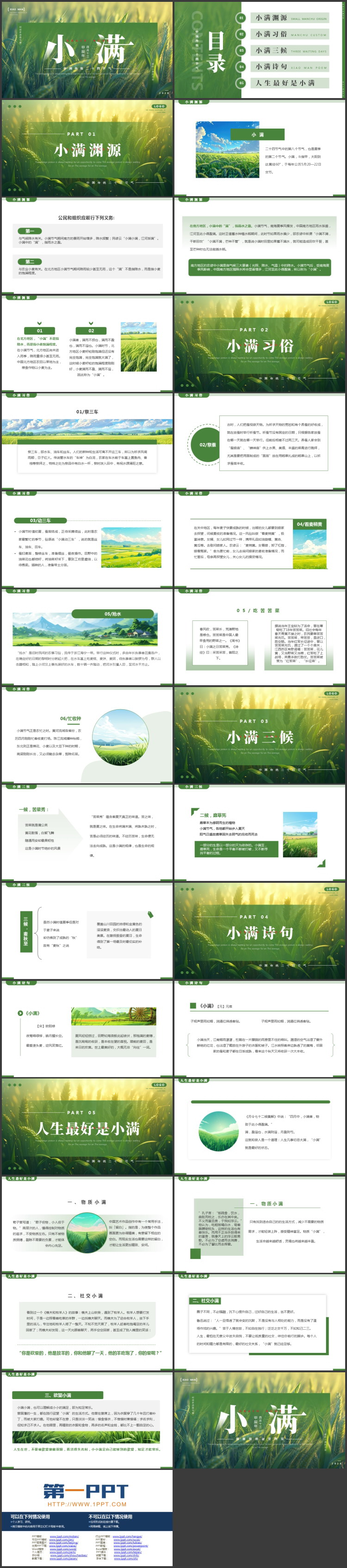 绿色麦穗麦田背景的中国传统二十四节气之小满节气介绍PPT模板