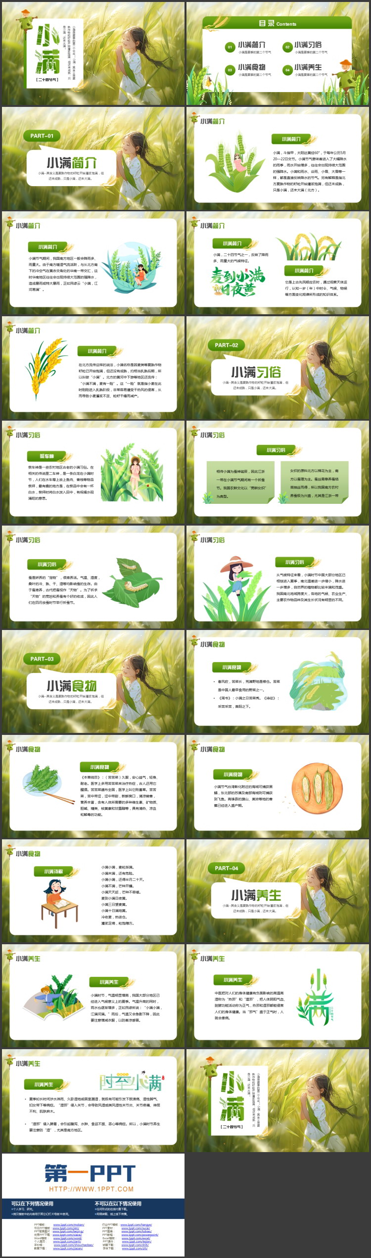 绿色唯美插画麦穗女孩背景的小满节气介绍PPT模板