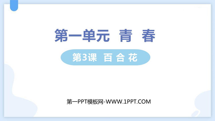 《百合花》PPT优秀课件下载