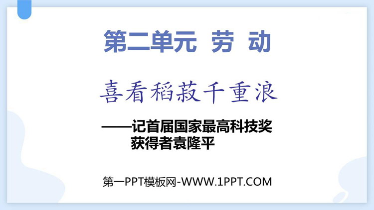 《喜看稻菽千重浪》PPT教学课件下载