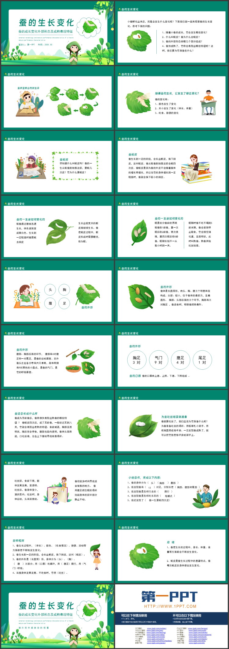 《蚕的生长变化》动物的生命周期PPT教学课件