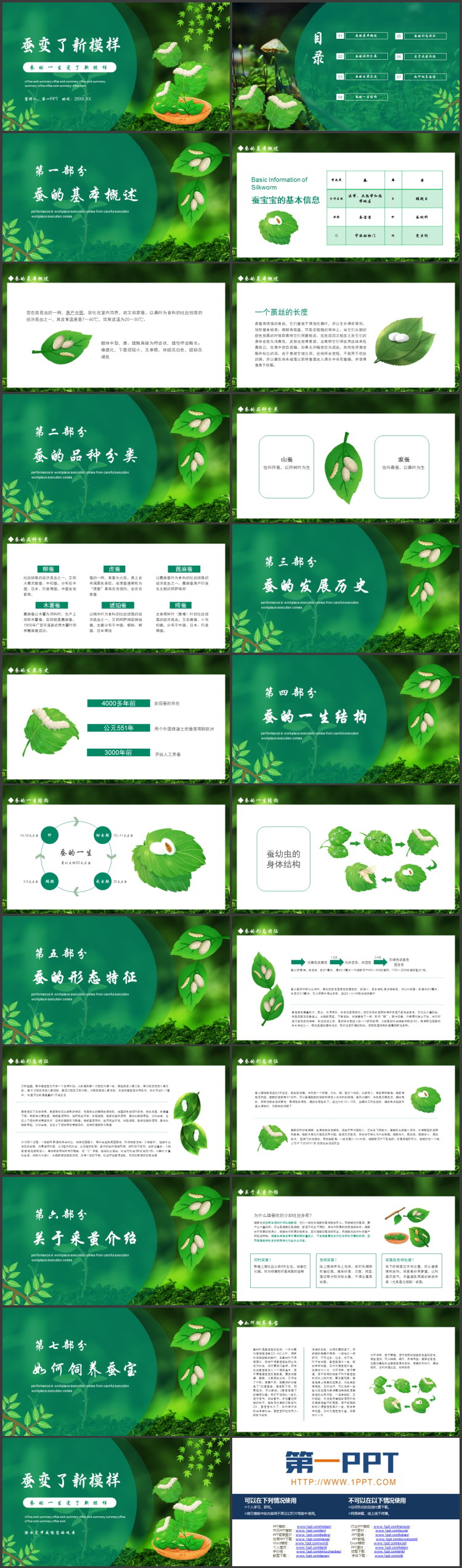 《蚕变了新模样》动物的生命周期PPT教学课件