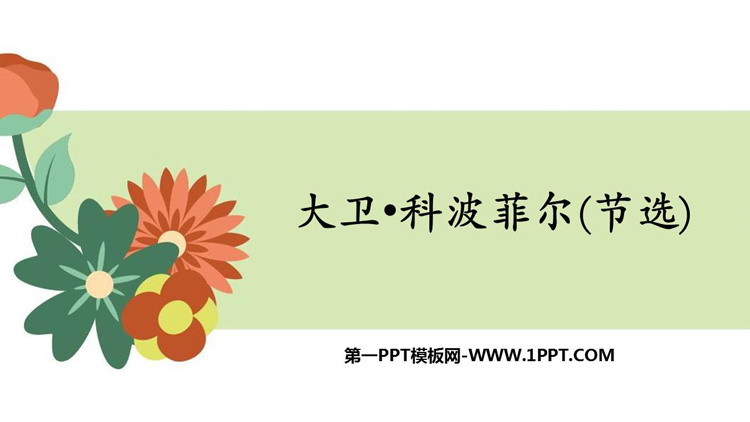 《大卫·科波菲尔》PPT精品课件