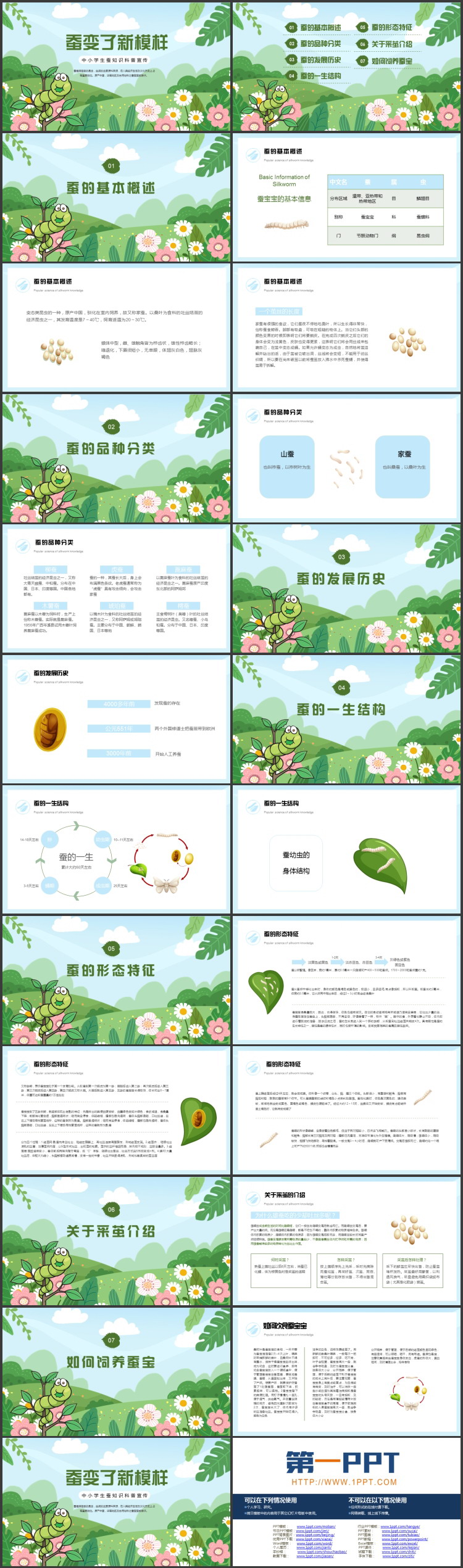《蚕变了新模样》动物的生命周期PPT课件下载