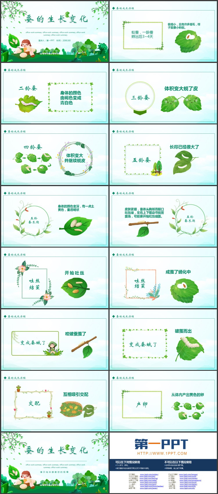 《蚕的生长变化》动物的生命周期PPT课件下载