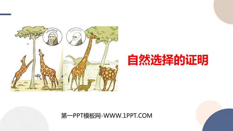 《自然选择的证明》PPT课件下载