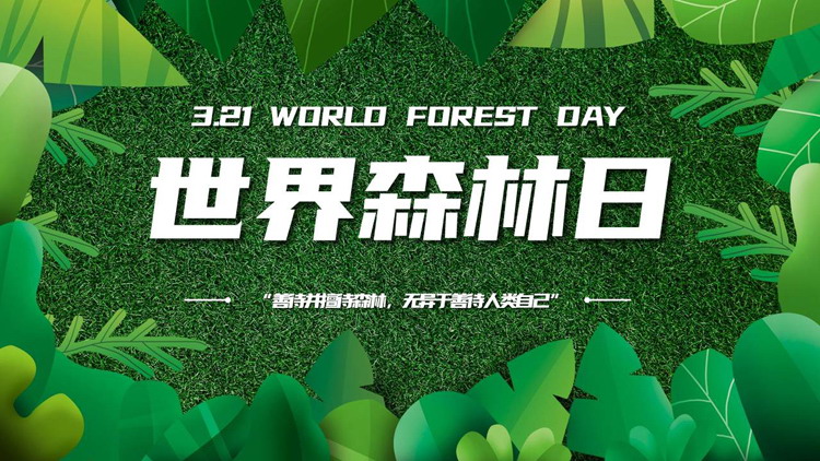 绿色清新草地树叶背景的世界森林日PPT模板