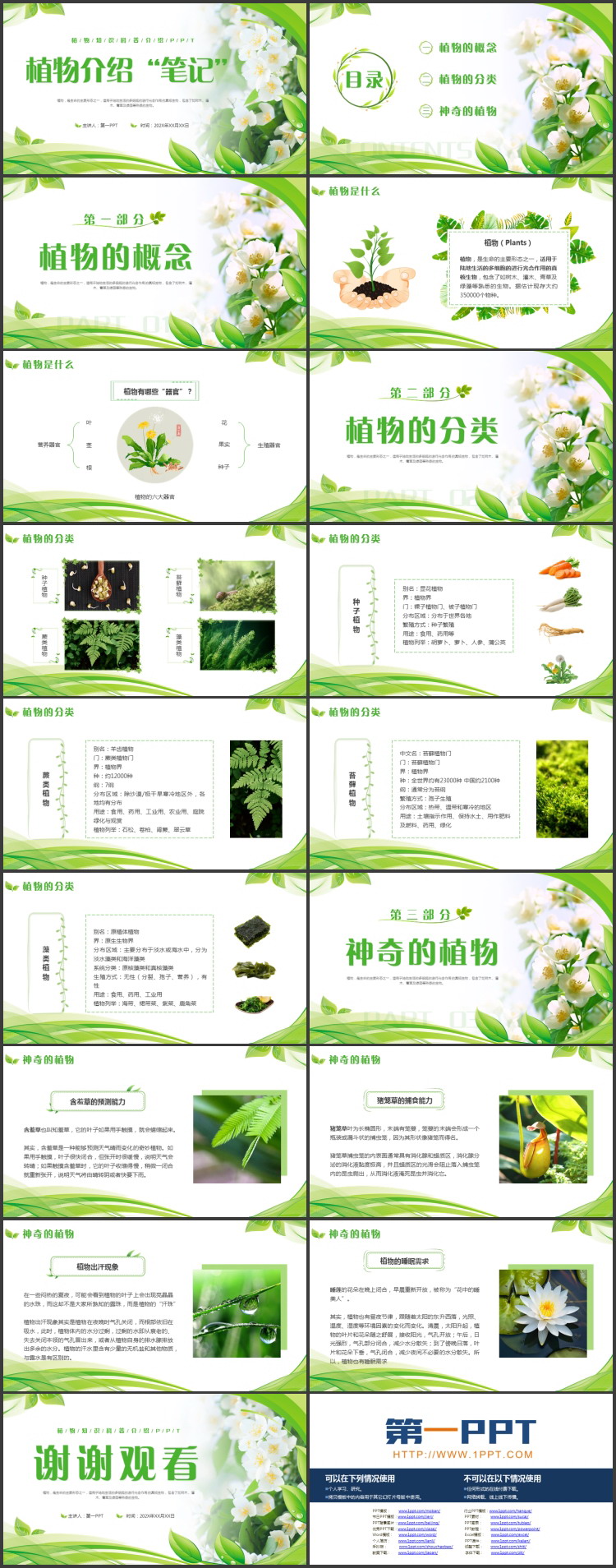 绿色清新鲜花绿叶背景的“植物介绍笔记”植物知识科普介绍PPT模板