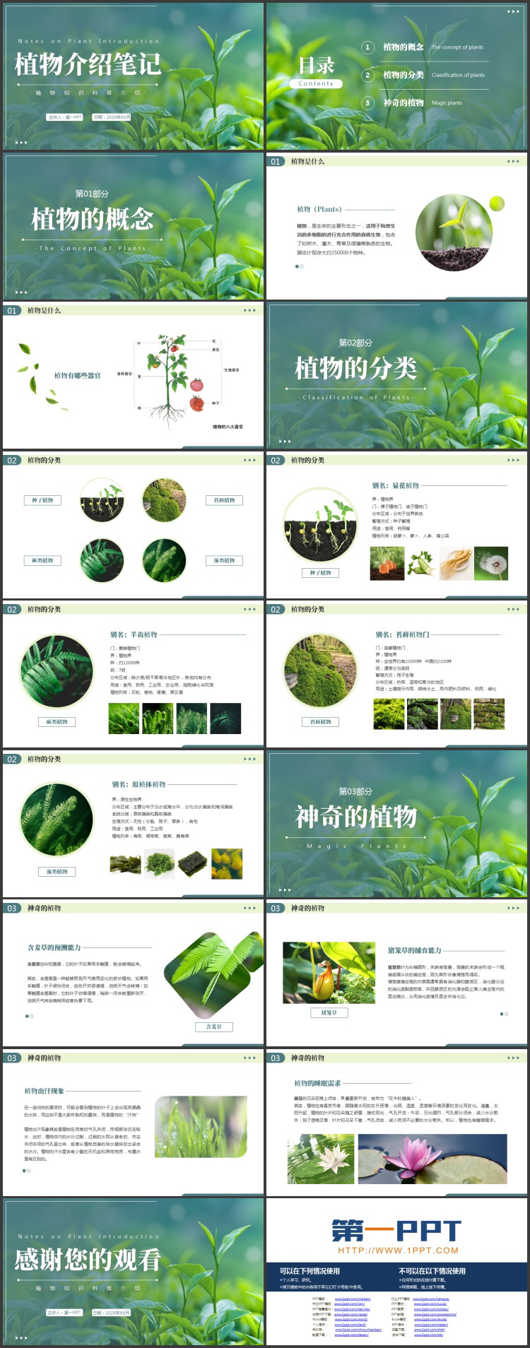 绿色清新叶子背景的“植物介绍笔记”植物知识科普介绍PPT模板