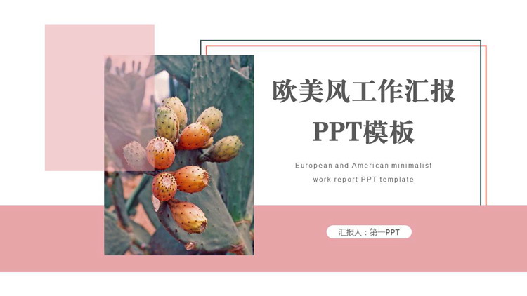 粉色仙人掌背景的欧美极简工作汇报PPT模板下载