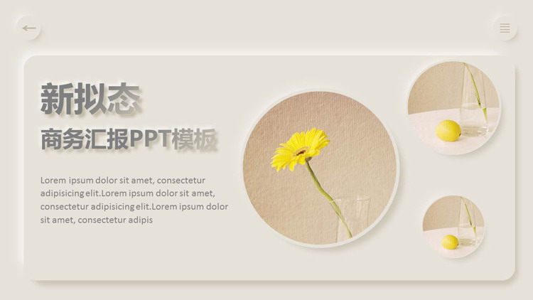 棕色精美小花柠檬背景的新拟态欧美商务汇报PPT模板