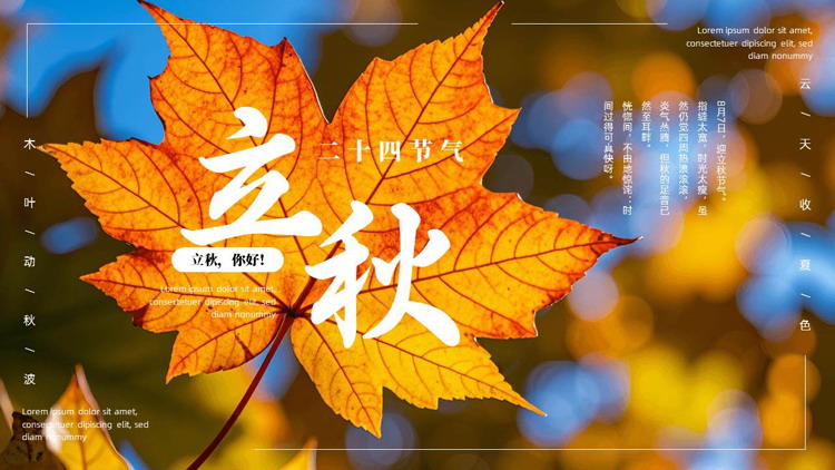 精美枫叶背景的立秋二十四节气介绍PPT模板
