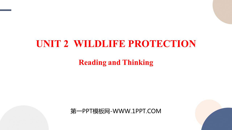 《Wildlife Protection》Reading and Thinking PPT课件