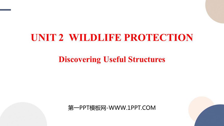 《Wildlife Protection》Discovering Useful Structures PPT课件