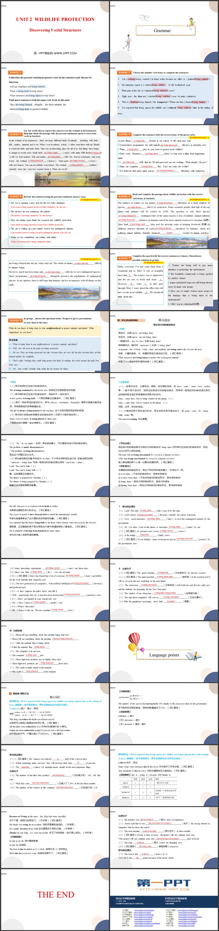 《Wildlife Protection》Discovering Useful Structures PPT课件