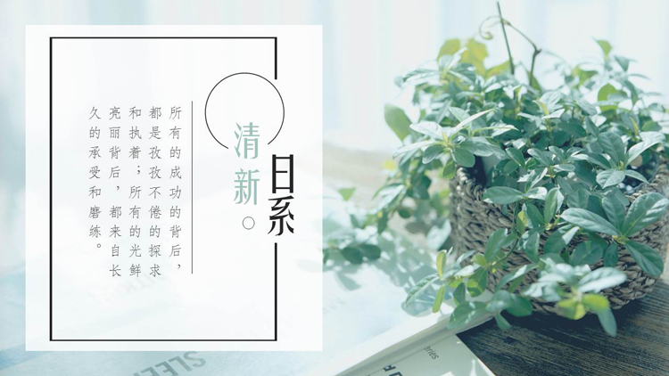精美绿叶盆栽背景的清新日系通用PPT模板