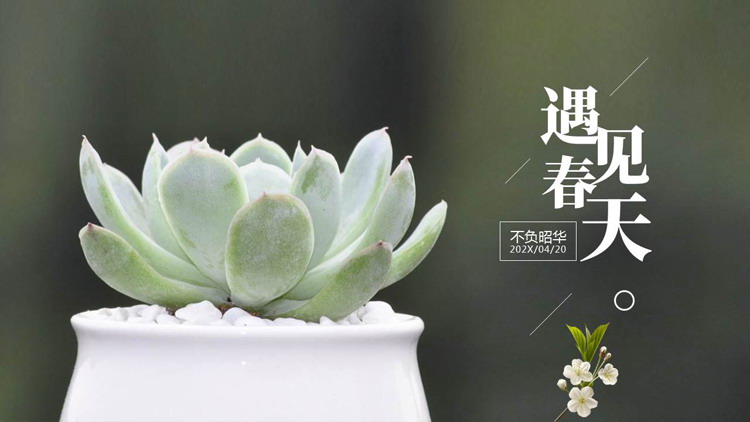 绿色精美盆景背景的“遇见春天”植物系商务汇报PPT模板