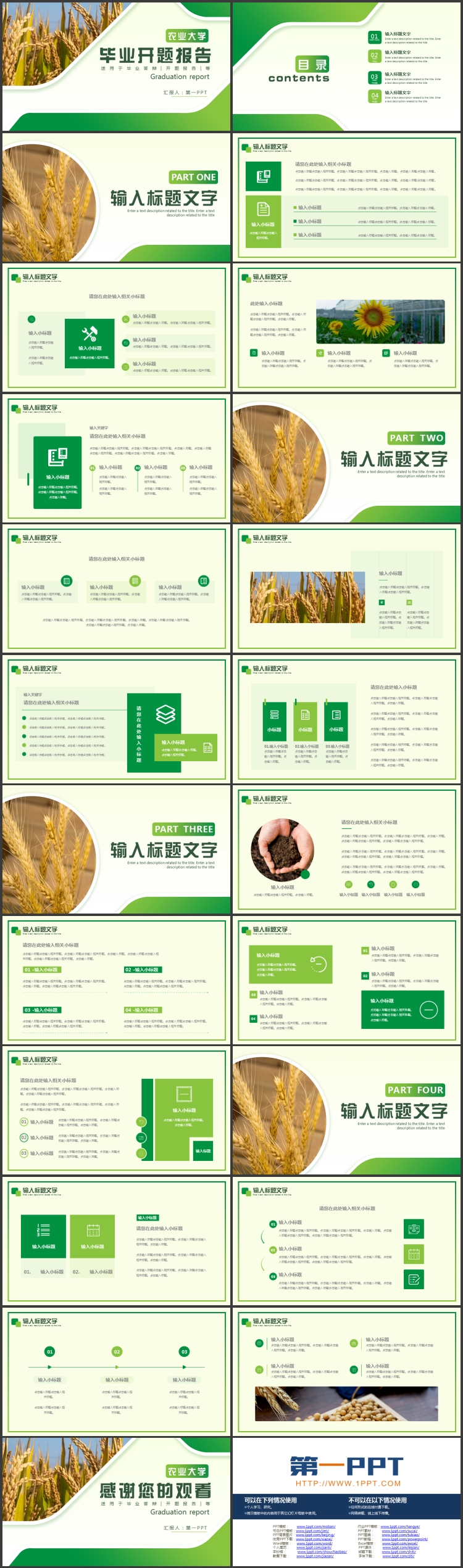 绿色麦穗背景的农业大学毕业开题报告PPT模板下载