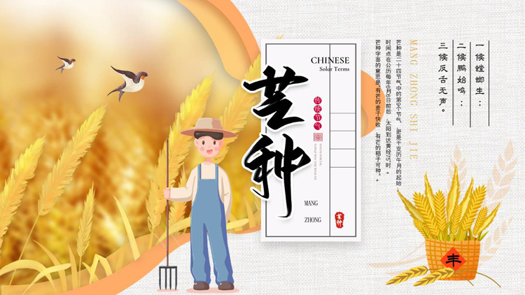 金色麦穗卡通农民背景的芒种节气介绍PPT模板