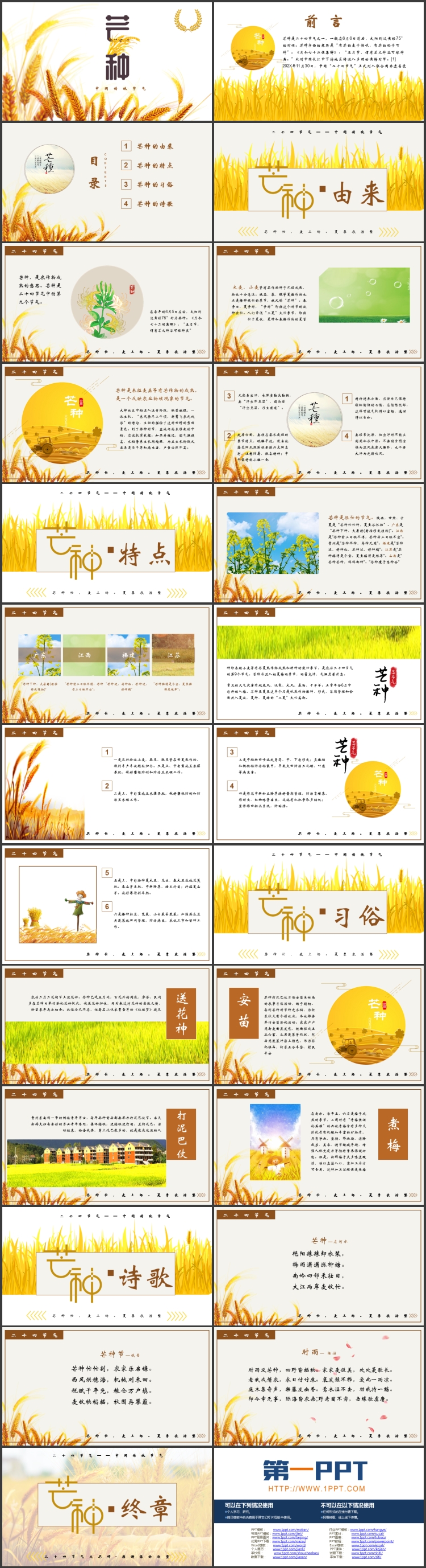 金色麦穗背景的中国传统节气芒种介绍PPT模板