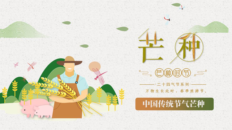 矢量卡通农民背景的中国传统节气芒种介绍PPT模板