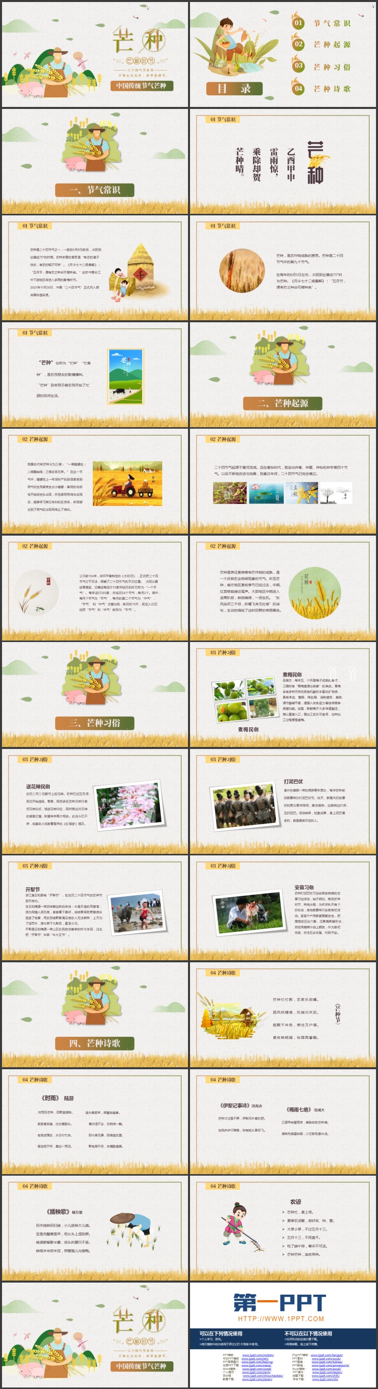 矢量卡通农民背景的中国传统节气芒种介绍PPT模板