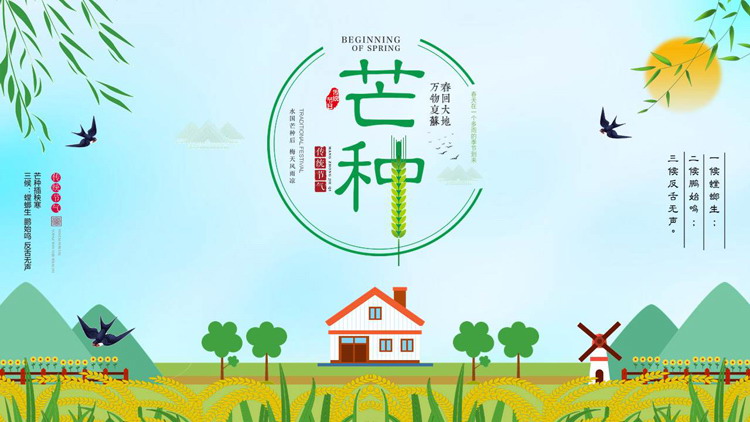 绿色清新卡通风格的芒种节气介绍PPT模板