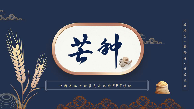 蓝色麦穗背景的二十四节气之芒种节气介绍PPT模板