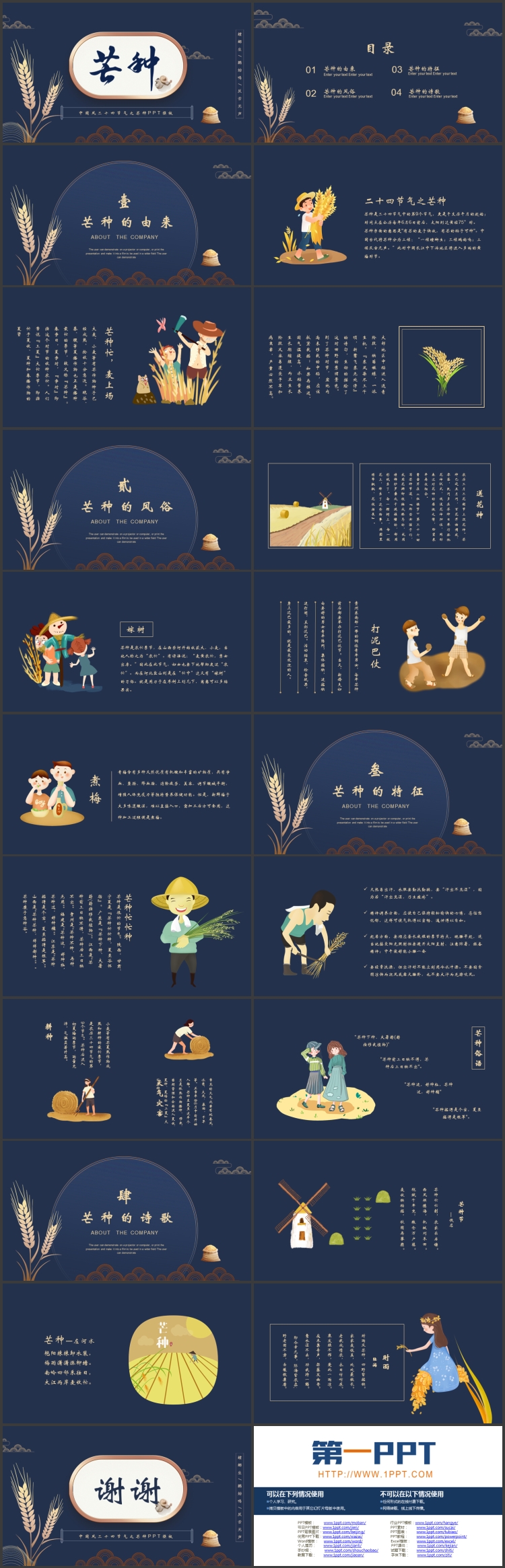 蓝色麦穗背景的二十四节气之芒种节气介绍PPT模板