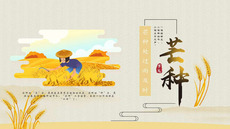 金色卡通农民麦穗背景的芒种节气介绍PPT模板