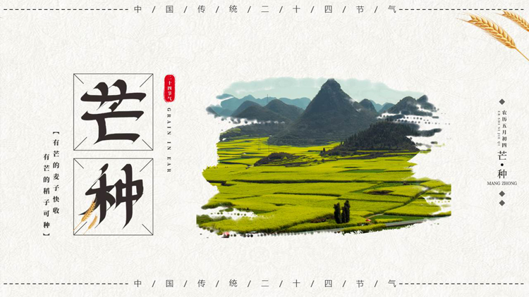 绿色田野群山背景的芒种节气介绍PPT模板