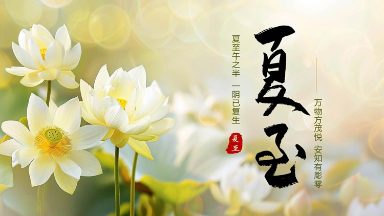 精美插画荷花背景的夏至节气介绍PPT模板