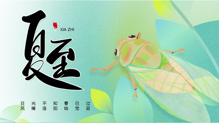 青色插画夏蝉背景的夏至节气介绍PPT模板