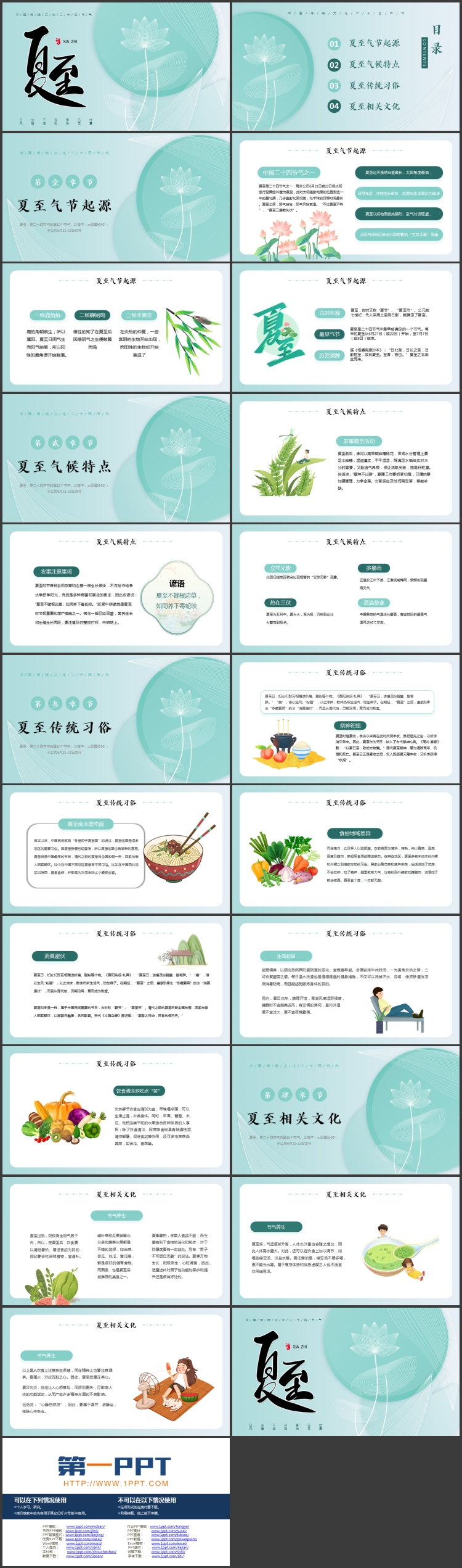 青色创意荷花荷叶背景的中国传统节气之夏至节气介绍PPT模板