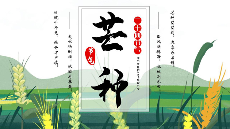 绿色清新卡通麦穗背景的芒种节气介绍PPT模板