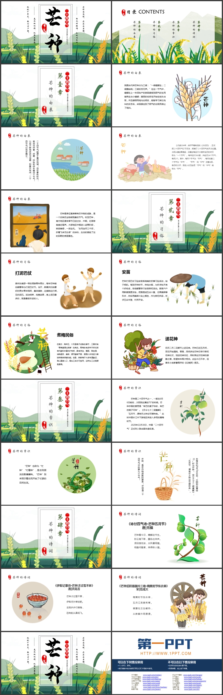 绿色清新卡通麦穗背景的芒种节气介绍PPT模板