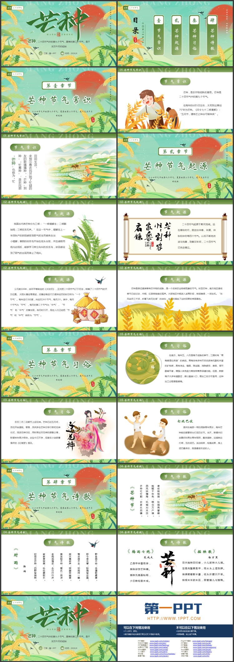 绿色清新麦穗背景的传统节气之芒种节气介绍PPT模板