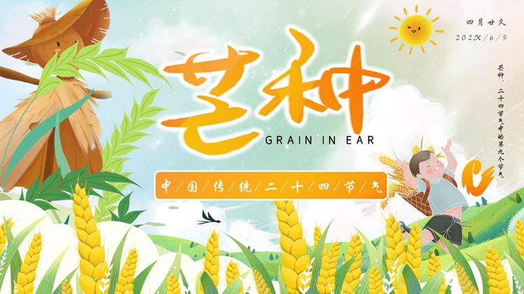 精美插画麦穗稻草人背景的芒种节气介绍PPT模板