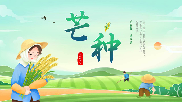 绿色插画农田农民背景的芒种节气介绍PPT模板