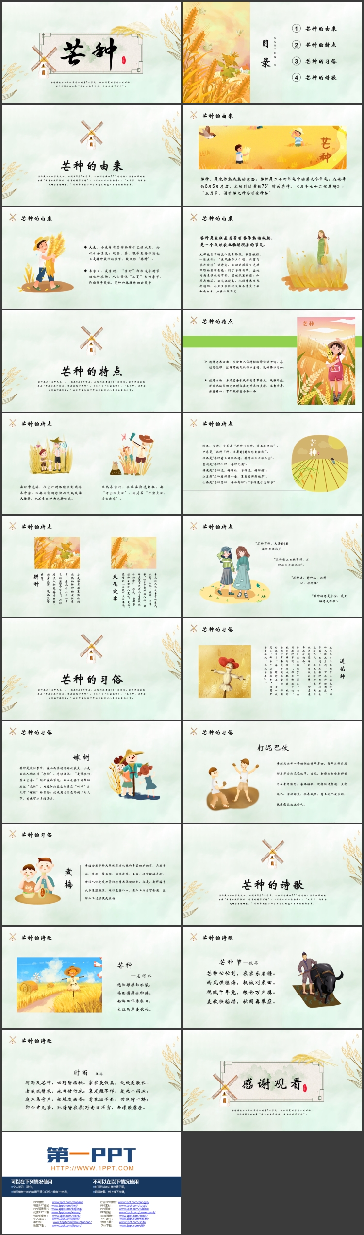 麦穗风车背景的芒种节气介绍PPT模板