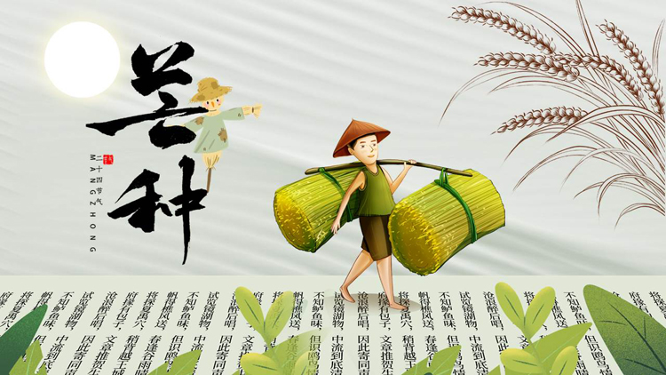 清新卡通农民背景的芒种节气介绍PPT模板
