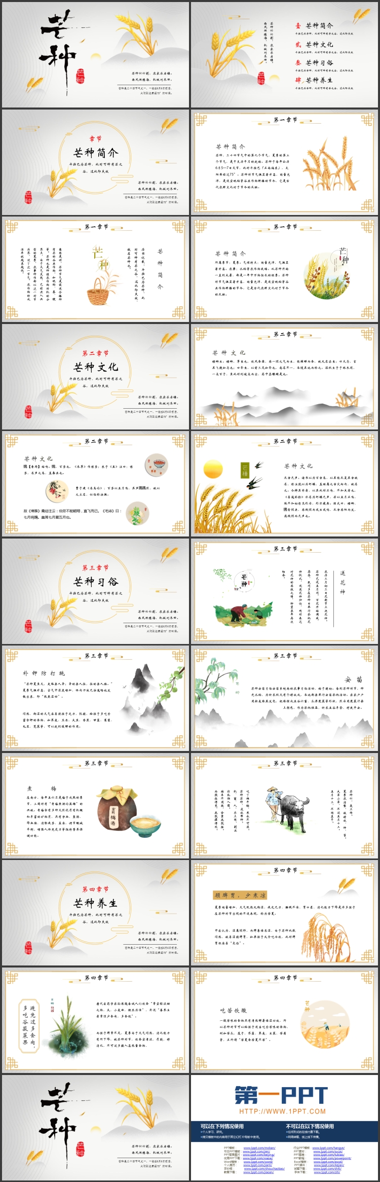 灰色麦穗背景的传统节气之芒种节气介绍PPT模板