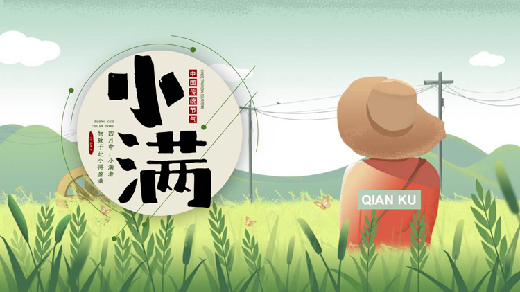 绿色清新插画风中国传统节气之小满节气介绍PPT模板