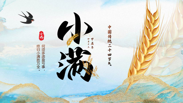 蓝色鎏金麦穗背景的中国传统二十四节气之小满节气介绍PPT模板