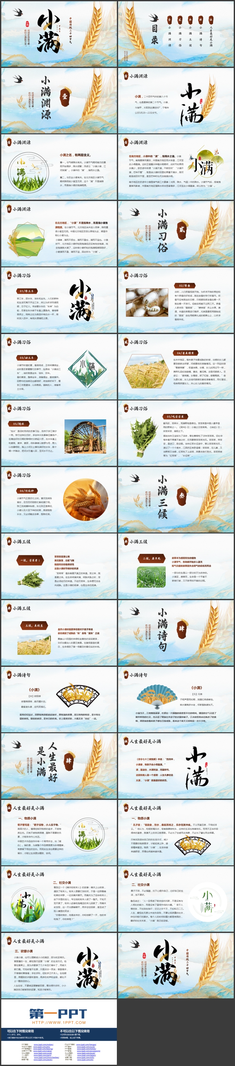 蓝色鎏金麦穗背景的中国传统二十四节气之小满节气介绍PPT模板