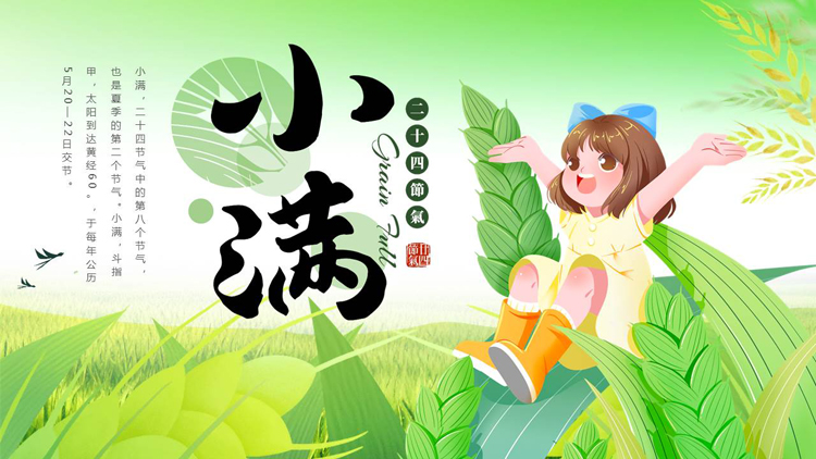 绿色清新卡通麦穗女孩背景的小满节气介绍PPT模板