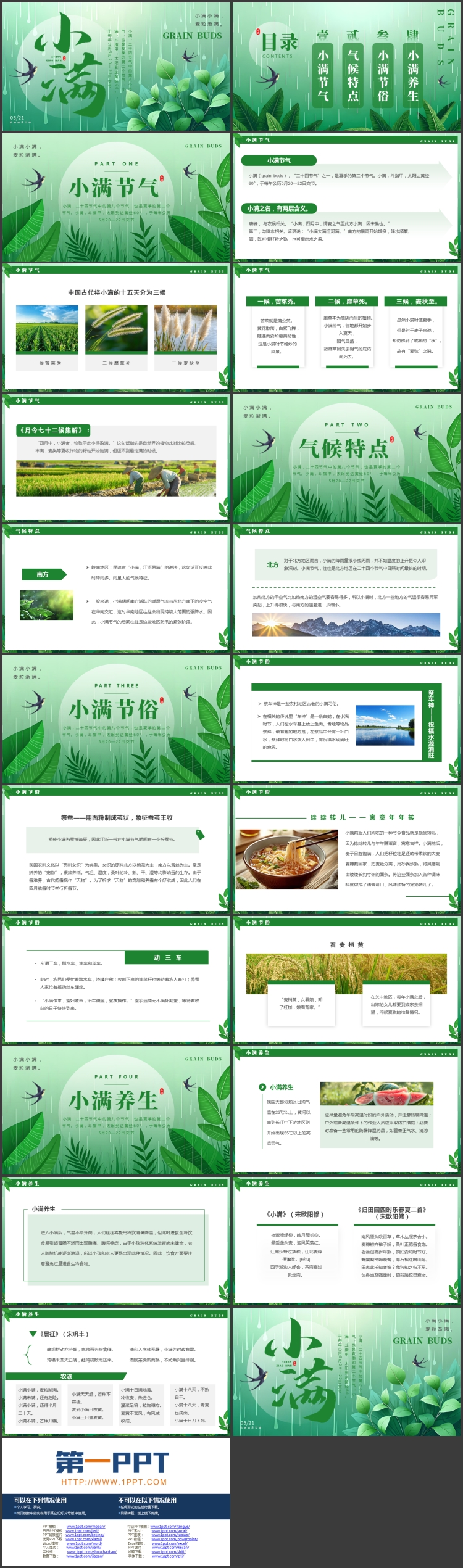 绿色清新插画叶子背景的小满节气介绍PPT模板