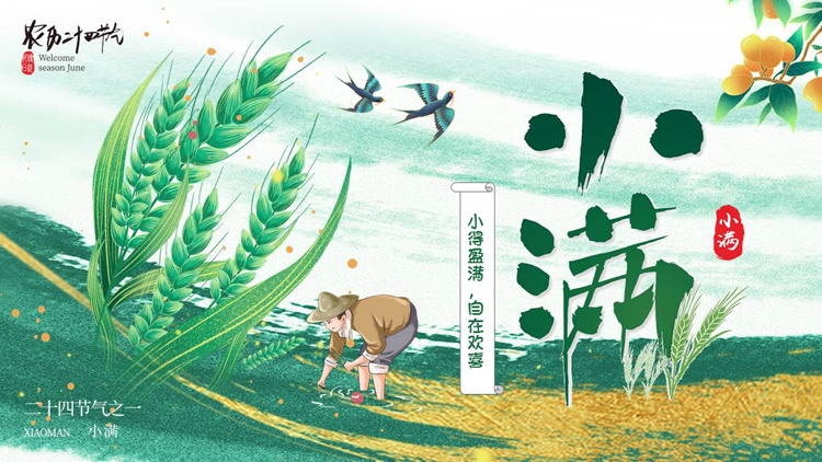 绿色清新插画风麦穗背景的传统节气小满节气介绍PPT模板